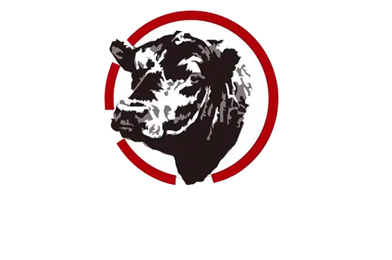 Dinacar